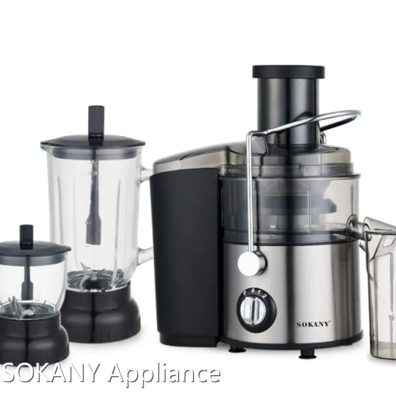 Sokany SK-4009 4-инфекциясы 800 Вт моторлы және тот баспайтын болаттан жасалған көп функциялы шырын сыққыш1 1