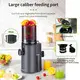 Whole Slow Juicer 44.6×18.6×34.8cm by SOKANY 3