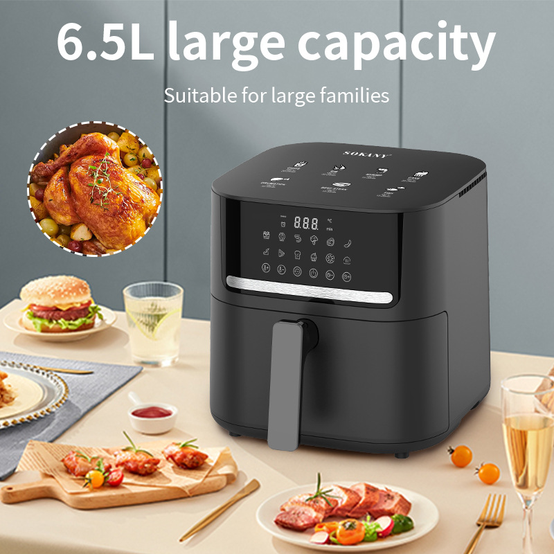 SOKANY Air Fryer Final Review