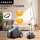 Garment Steamer 100% Chemical-free Garment Care Using Steam - - SOKANY 4