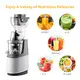Whole Slow Juicer Excellent for Icemakers 6