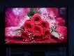 Bulk Indoor Led Display Company 5