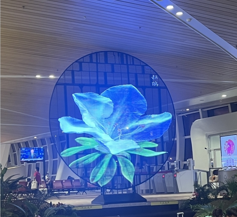 LIONLED Indoor/Semi-outdoor Transparent LED Display P3.91-7.81 Full Color For Market/Windows 1