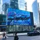 Bulk Transparent Led Window Display 7