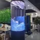 Flexible Led Screen Panel by Lionled 5