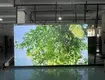 P3 91 Indoor Led Screen by Lionled 4