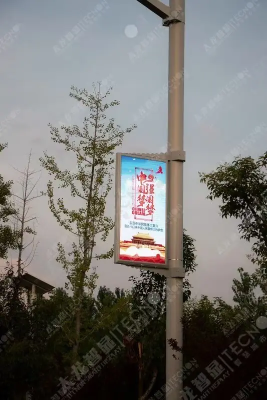 Light Pole Led Display by Lionled 6