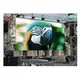 Led Screen Panels Rental - - Lionled 2