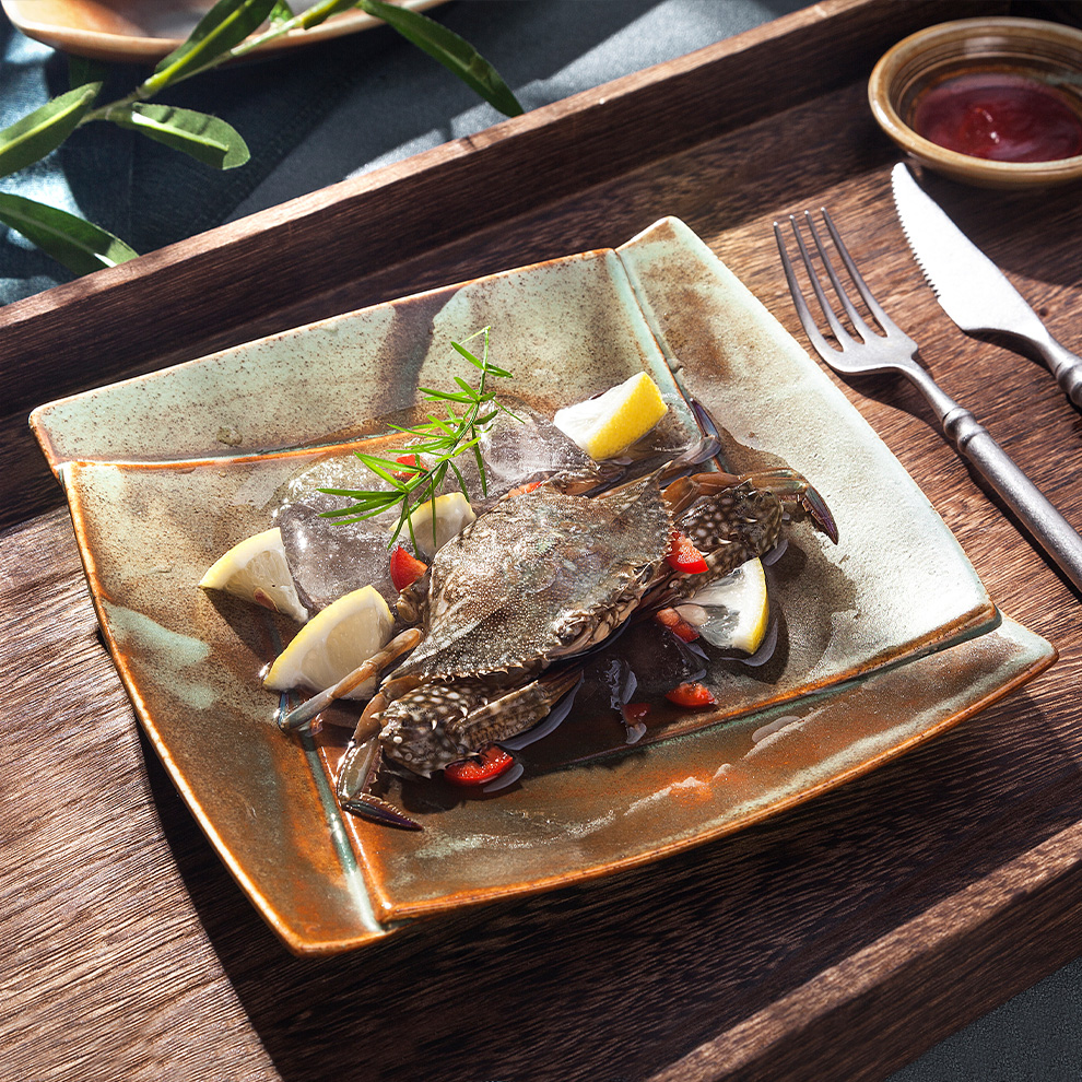 Japanese Style Classical Brazil Customized Western Unbreakable Color Changing Speckled Arcopal China Ceramic Dinnerware 10