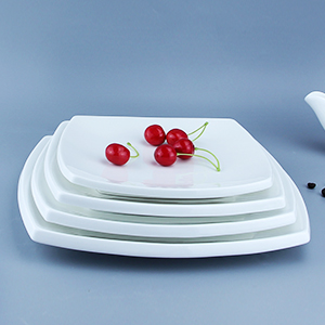 Japanisches Restaurant weiße Teppanyaki -Teller Keramikplatten Gerichte 12