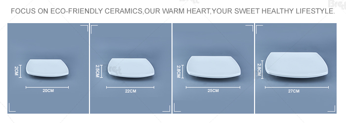 Japanisches Restaurant weiße Teppanyaki -Teller Keramikplatten Gerichte 14