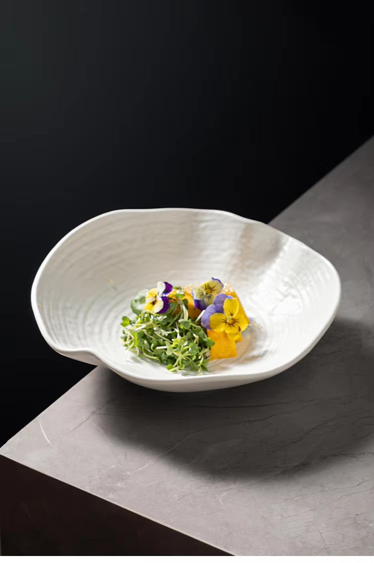 Pogranda Daŭra Ceramika Manĝaĵa Aro 1