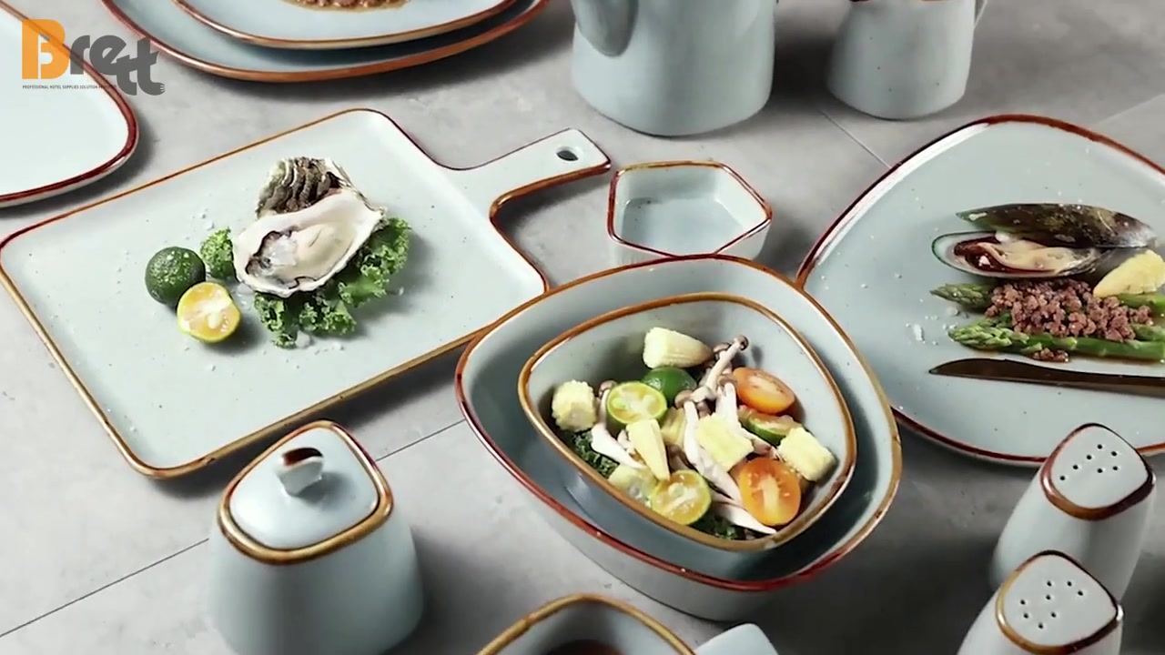 Intro to Hotel Dinnerware Crockery Customized Logo Platos Speckle Porcelain Ceramic Serving Dinner Plate Set CHINABRETT 