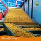 Grape Drying Machine Wholesale - ShouChuang 1