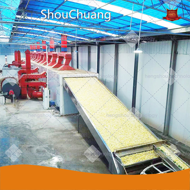 ShouChuang Vegetable Dryer Machine Eries 1
