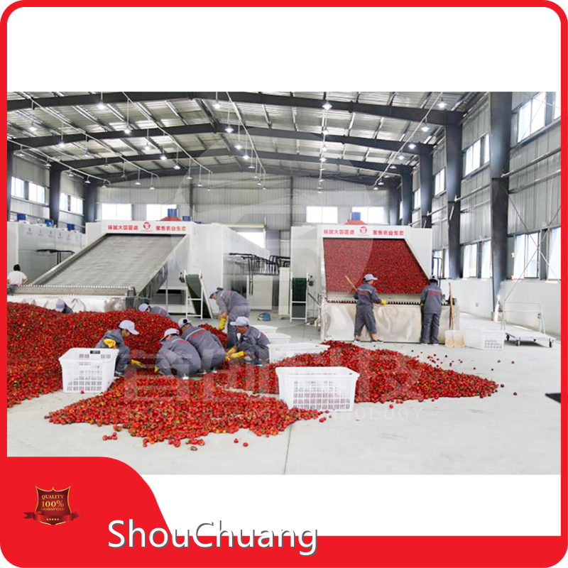 Long Lasting Vegetable Spin Dryer Vegetable Spin Dryer Company 1