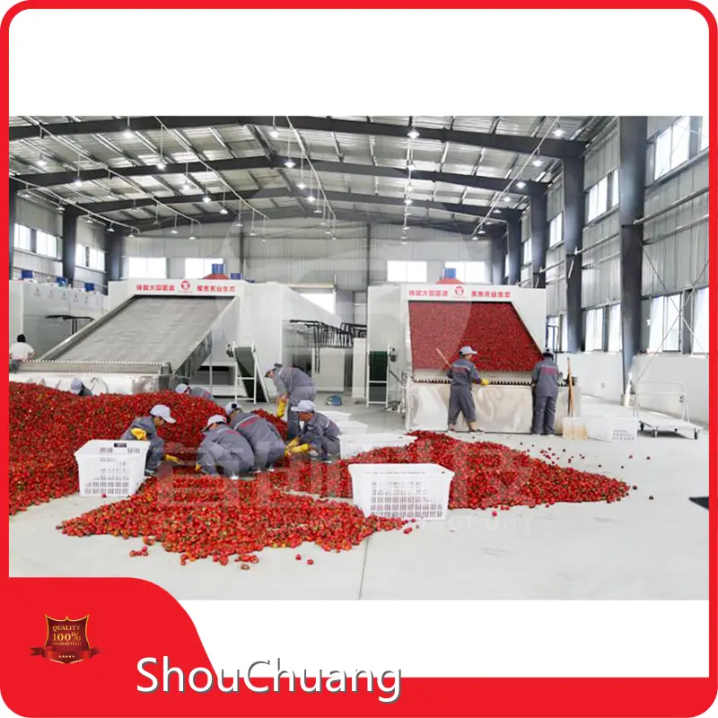 Long Lasting Vegetable Spin Dryer Vegetable Spin Dryer Company 1
