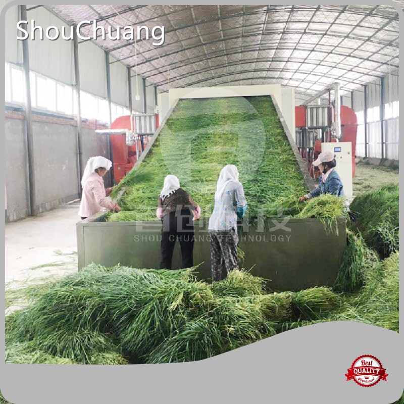 Safe to Use Grape Drying Machine Factory 1