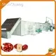 Durable Conveyor Dryer Machine Manufacturing 1