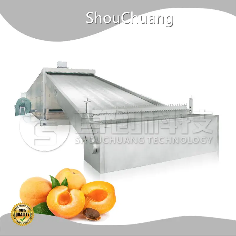 Vegetable and Fruit Dryer Machine 30 -100 by ShouChuang 1