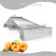 Vegetable and Fruit Dryer Machine 30 -100 by ShouChuang 1