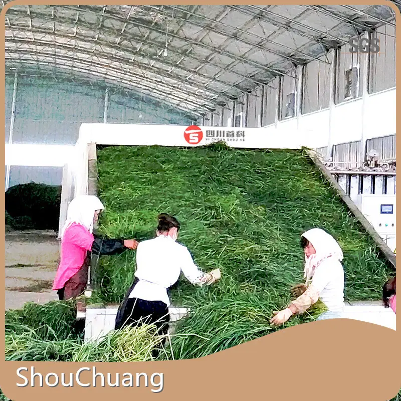 Quality Vegetable Dehydration Machine Price 1