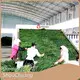 Quality Vegetable Dehydration Machine Price 1