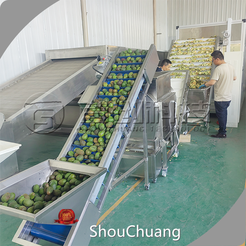 Fruit and Vegetable Dryer Machine - - ShouChuang 1
