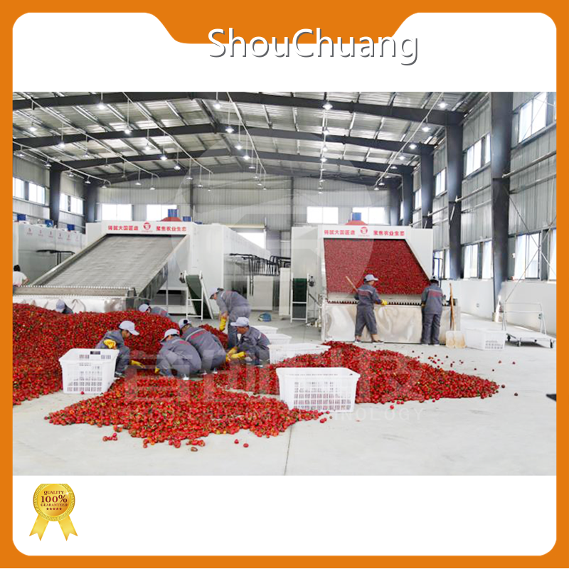 Conveyor Dryer Machine with Good Price 1