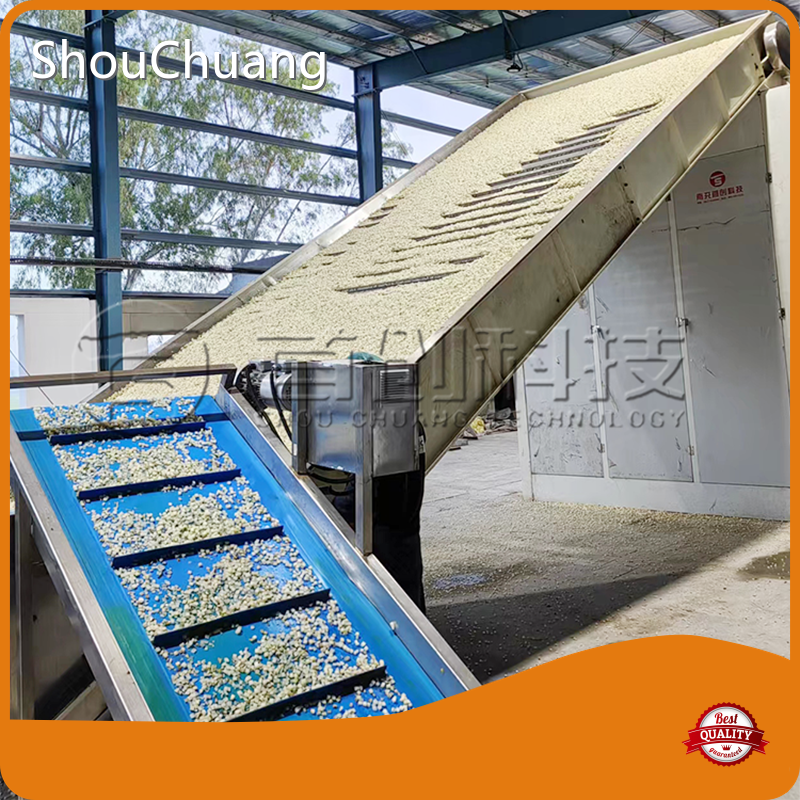ShouChuang Machine for Drying Food Machine for Drying Foodseries 1
