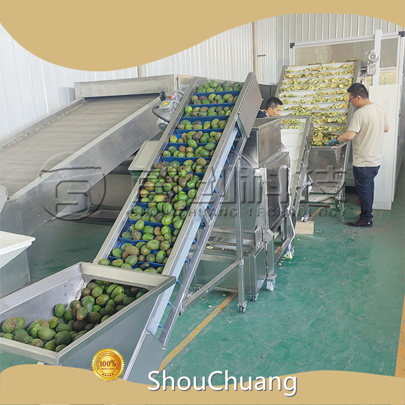 Mushroom Dryer Machine Factory 1