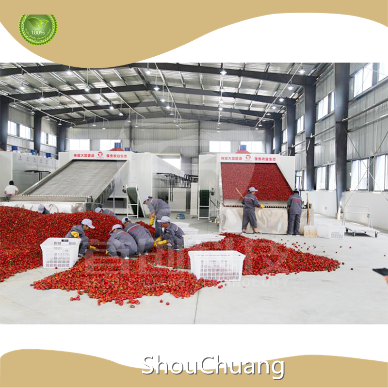 Dry Fruit Dryer Machine by ShouChuang 1