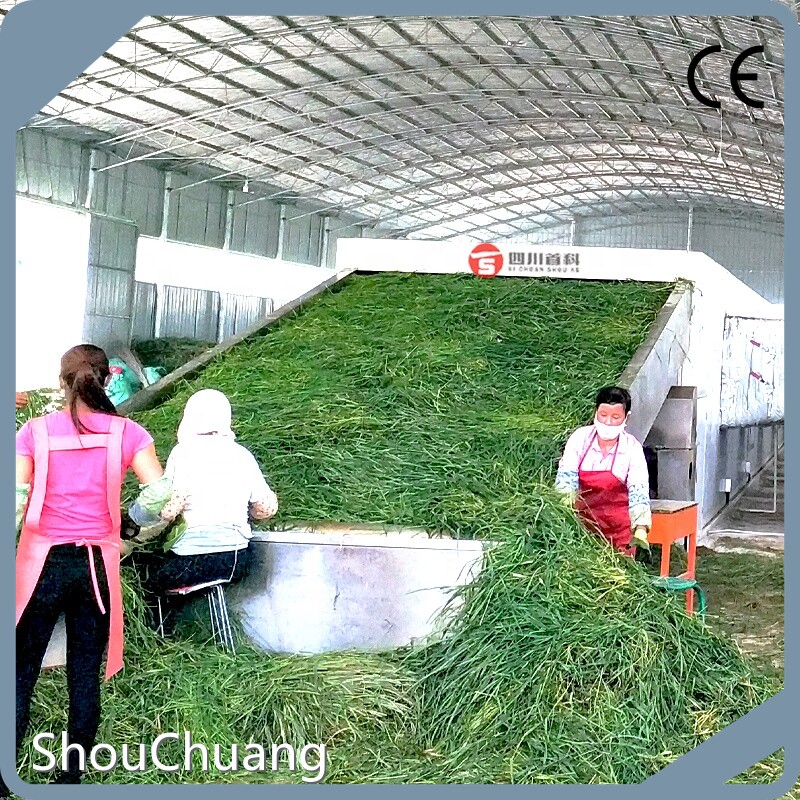 ShouChuang Conveyor Dryer Machine Provided Conveyor Dryer Machinesupply 1