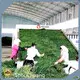 Industrial Fruit Dryer Machine Factory Direct Supply 1