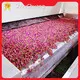 Dryer Machine for Food Wholesale - ShouChuang 1