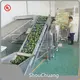 Hot Sellingsalad Drying Machine 1