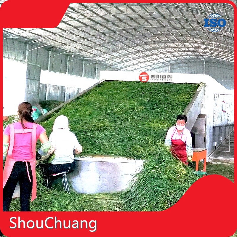 Salad Drying Machine Customizedmanufacturing 1