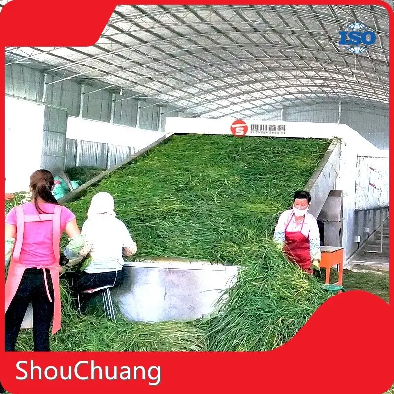 Salad Drying Machine Customizedmanufacturing 1
