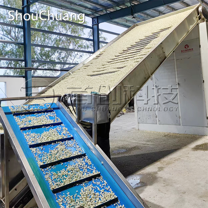 Mushroom Dehydrator Machine by ShouChuang 1