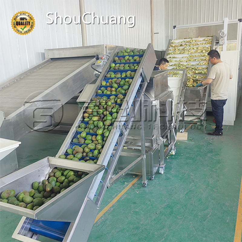 Apricot Dryer Machine with Good Price for Fruit Dehydration 1