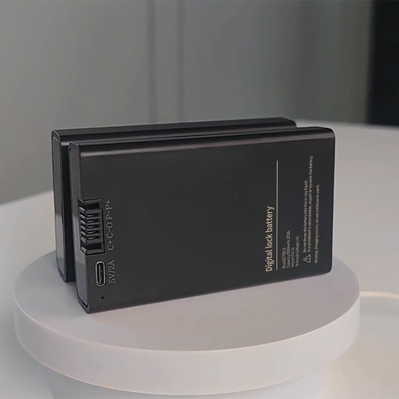 China High Quality 7.4V 4200mAh Smart Home Door Lock Rechargeable Lithium Battery Customized-CTECHi 4