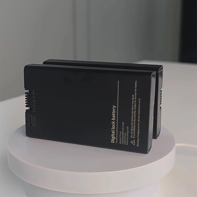 China High Quality 7.4V 4200mAh Smart Home Door Lock Rechargeable Lithium Battery Customized-CTECHi 5