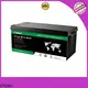 professional lifepo4 battery case manufacturer for Golf Trolley 1