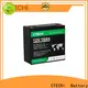 CTECHi lifepo4 battery case supplier for Golf Trolley 1