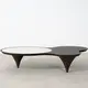 Topwood Coffee Table MIGLIO 5792 L160*W110*H35CM 2