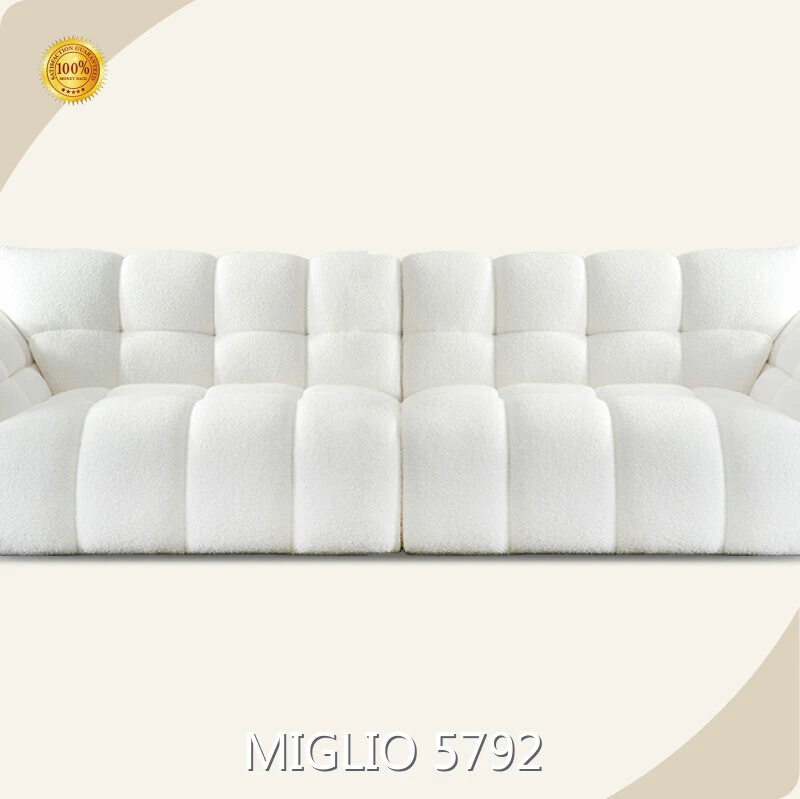 OEM Living Room Sofa Supplier Price List 1