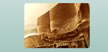 Auto en nid d'abeille Japide de machine de 18 cm / s Protection des transports pour les marchandises fragiles 14