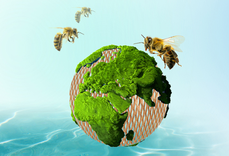 fábrica de envolturas de papel de nido de abeja