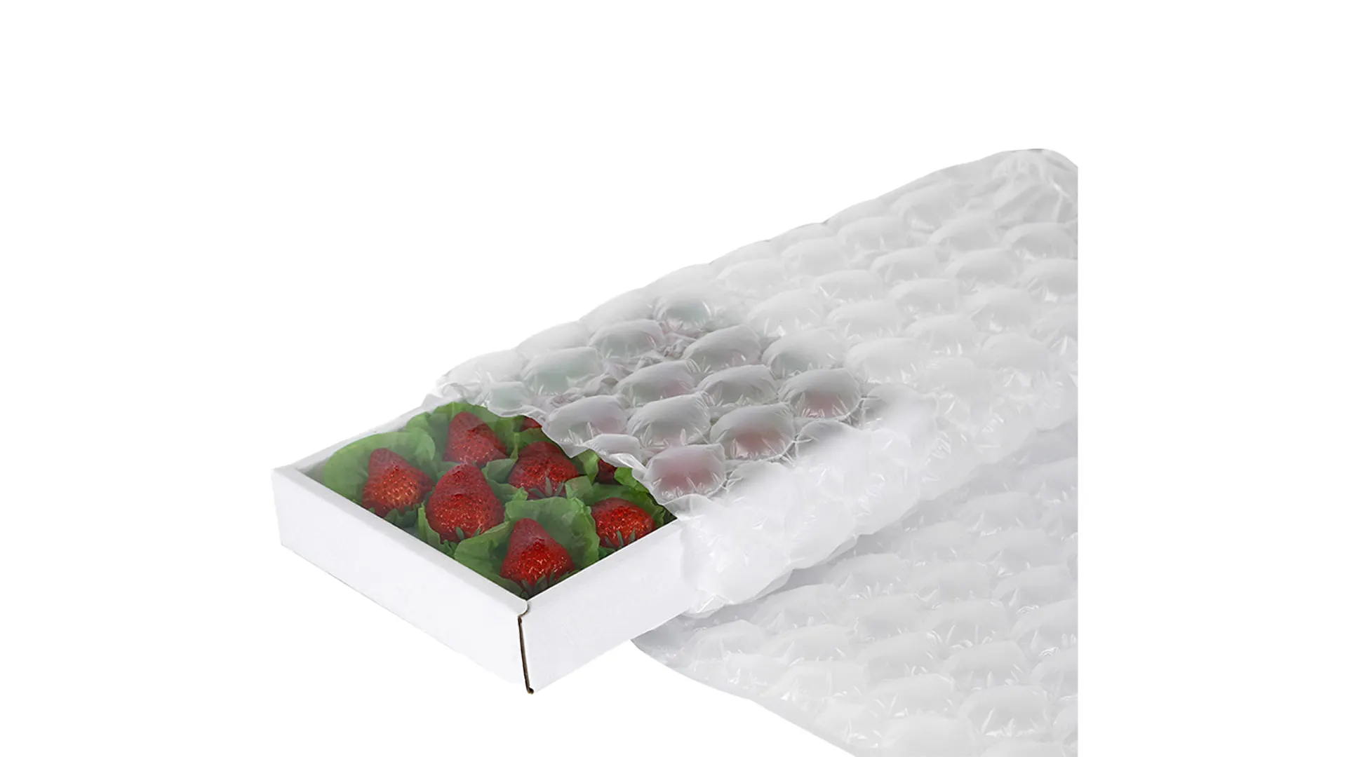 Inflatable Materials For Packaging Machinery Bubble Cushion 1
