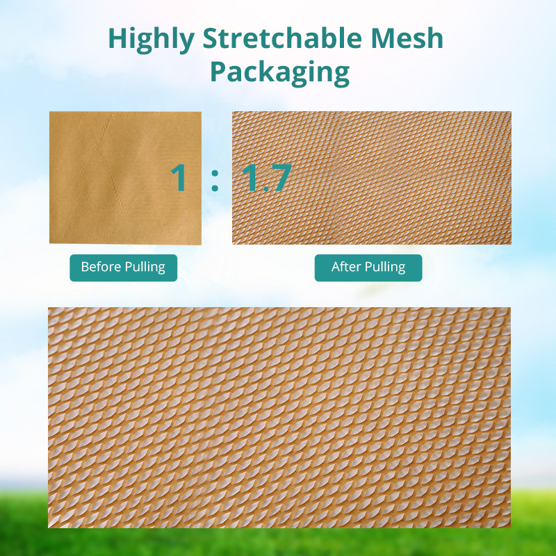 Honeycomb Paper Wrap Egg High-altitude Test 2